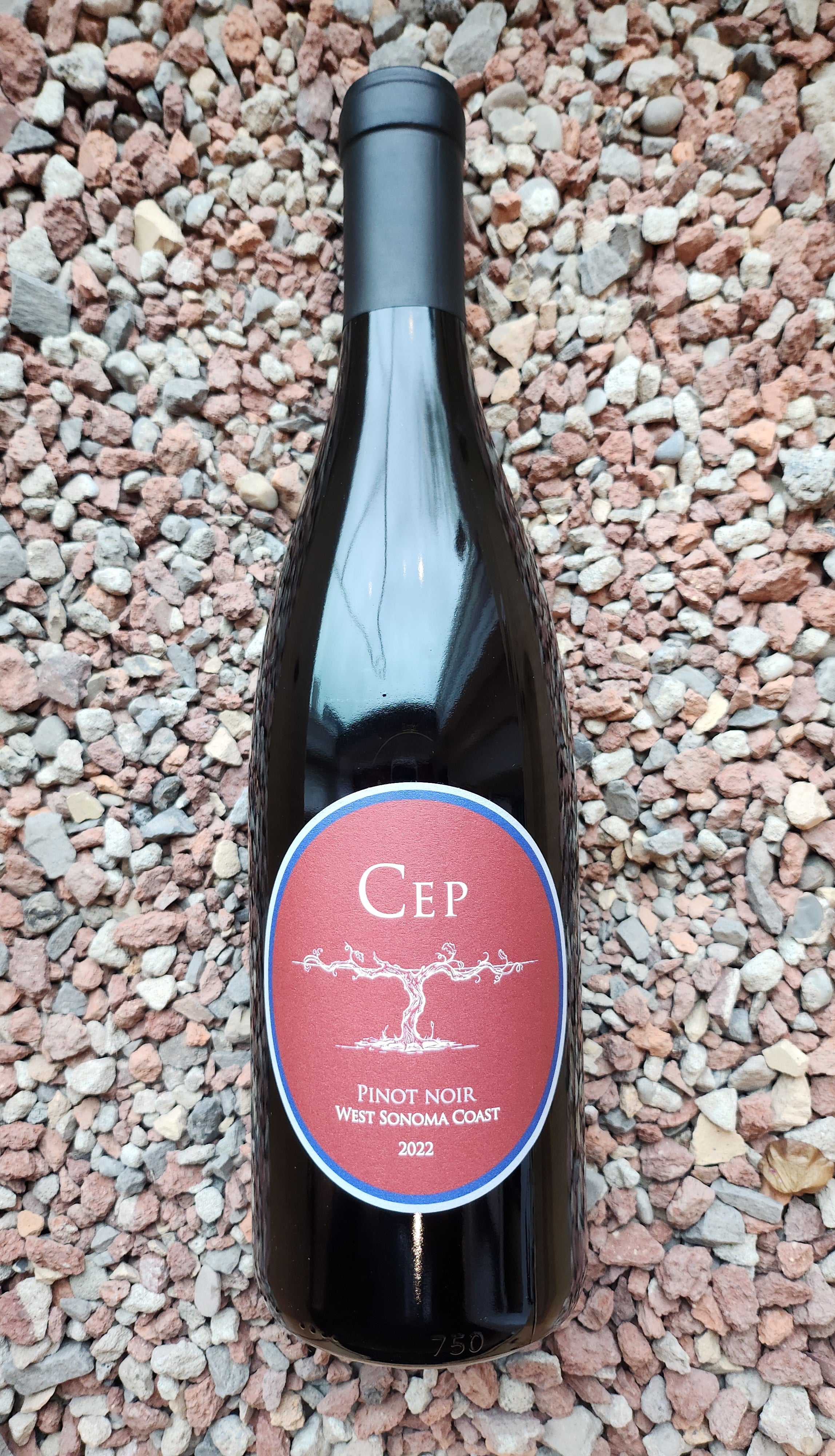2022 Cep Pinot Noir Sonoma Coast | Paradise Wine Buffalo