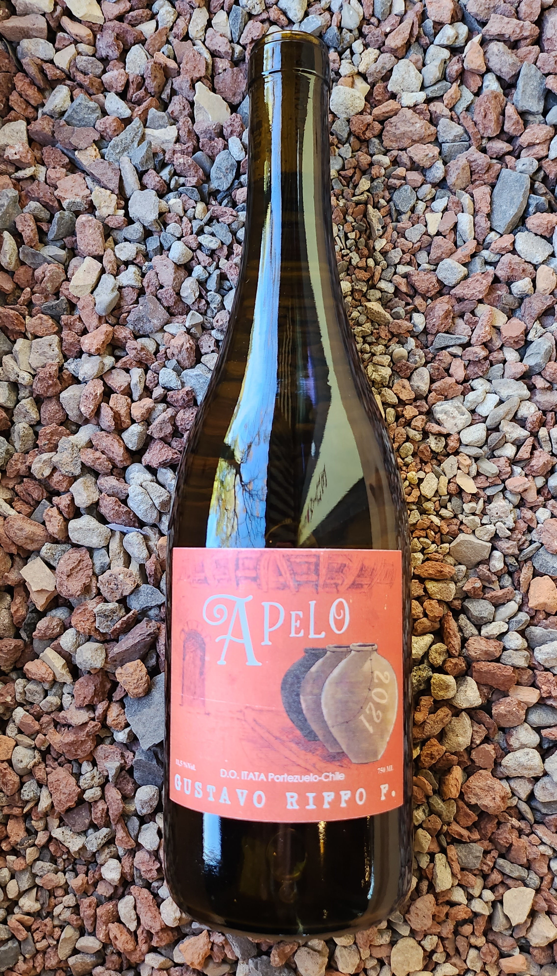 2021 Gustavo Riffo A Pelo Paradise Wine Buffalo